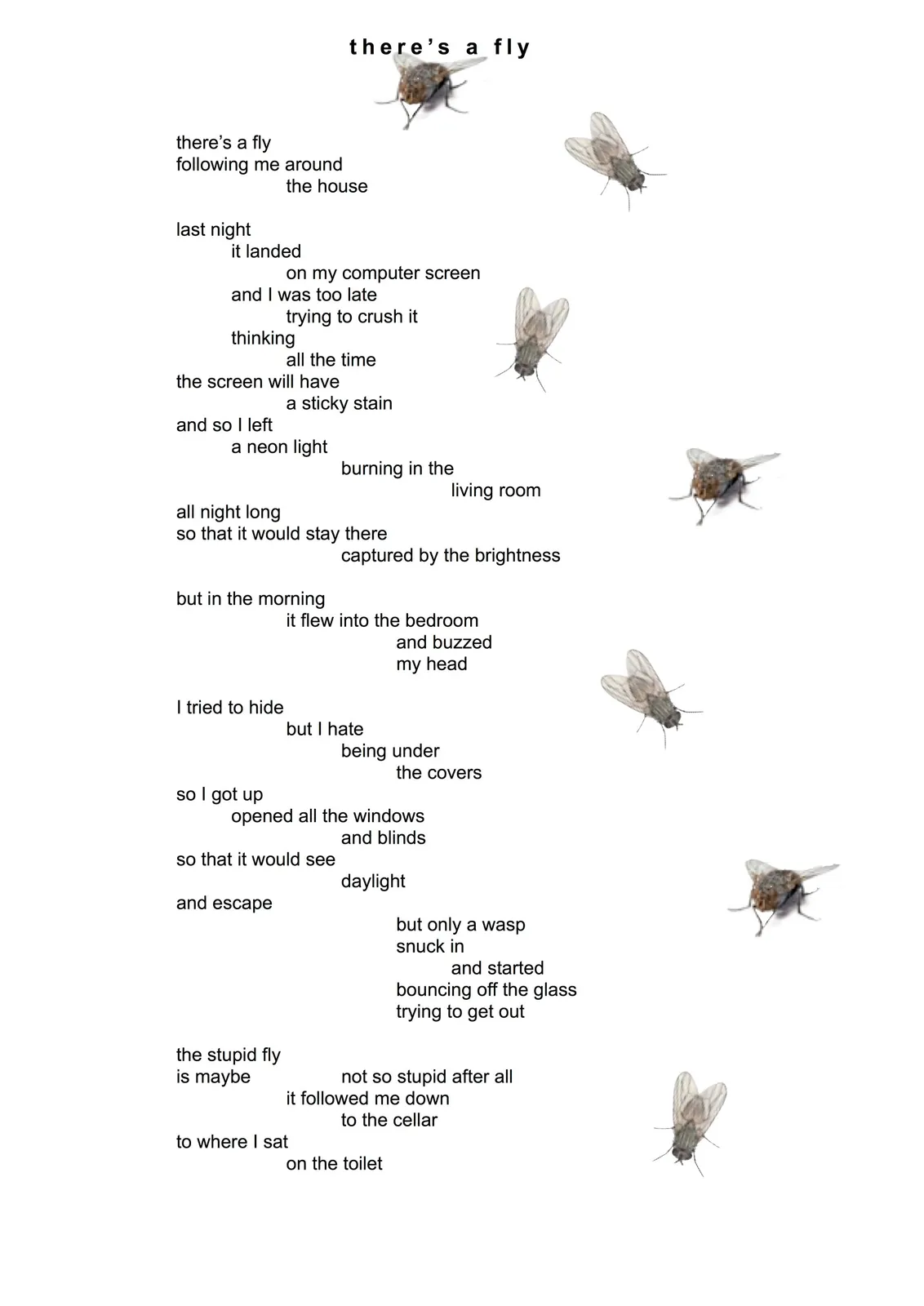 there's a fly 1