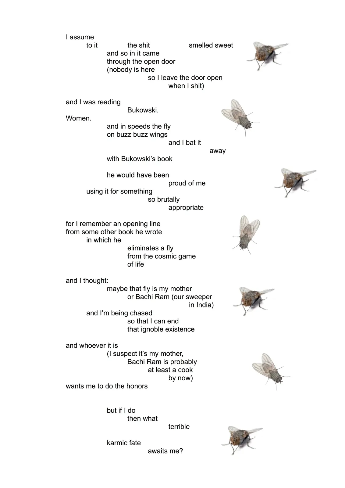 there's a fly 2